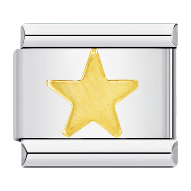 C0175_Golden Star Charm.png
