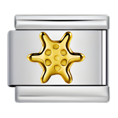 C0216_Starfish Charm .png
