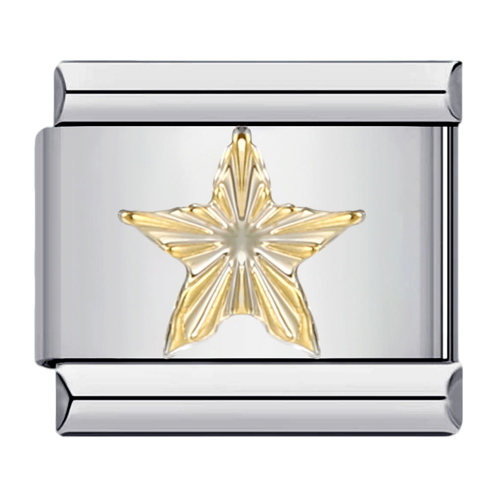 C0377_Gold Star.png