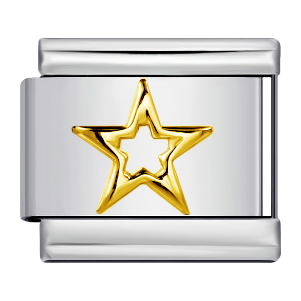 C0425_Gold Star.png