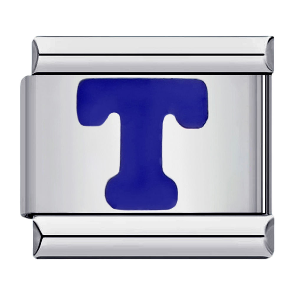 C0531_Blue Letter T.png