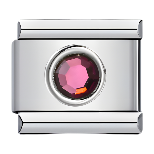 C0553_February Round Birthstone.png