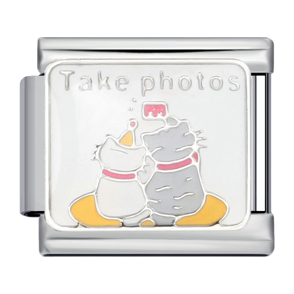 C0698_Two Cats Taking Photos Charm.png