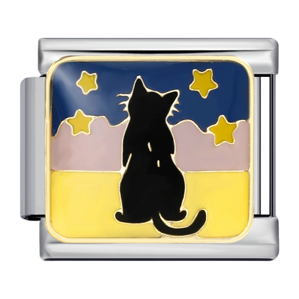 C0711_Cat under Stars with Enamel.png
