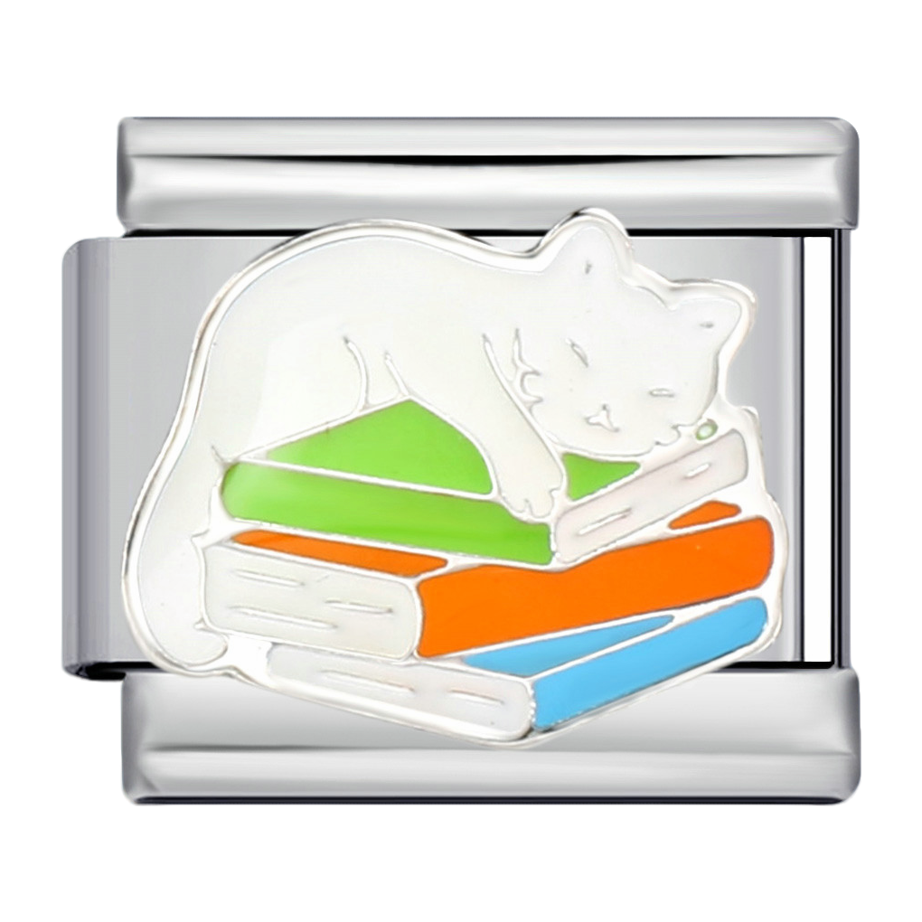 C0717_Sleeping Cat on Books.png