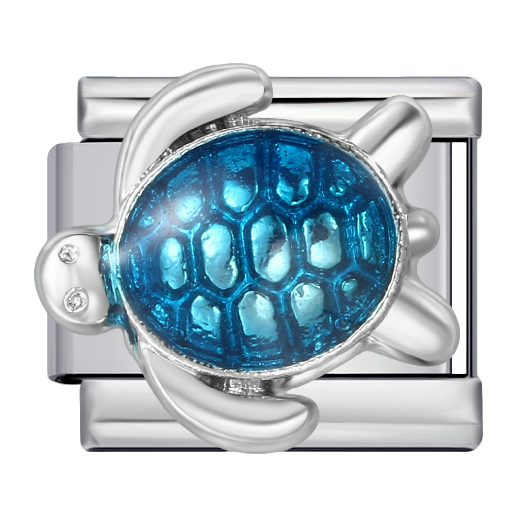 C1063_Silver Turtle with Blue Enamel.png
