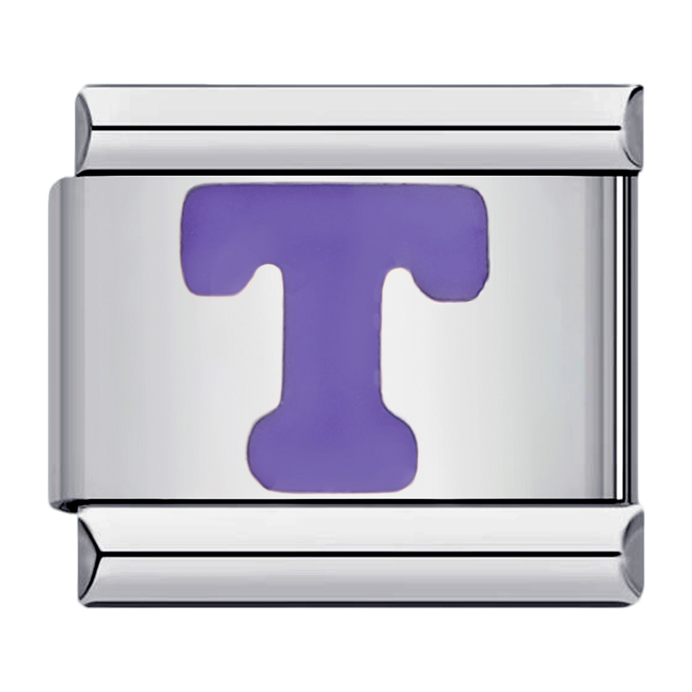 C0143_Purple Letter T.png