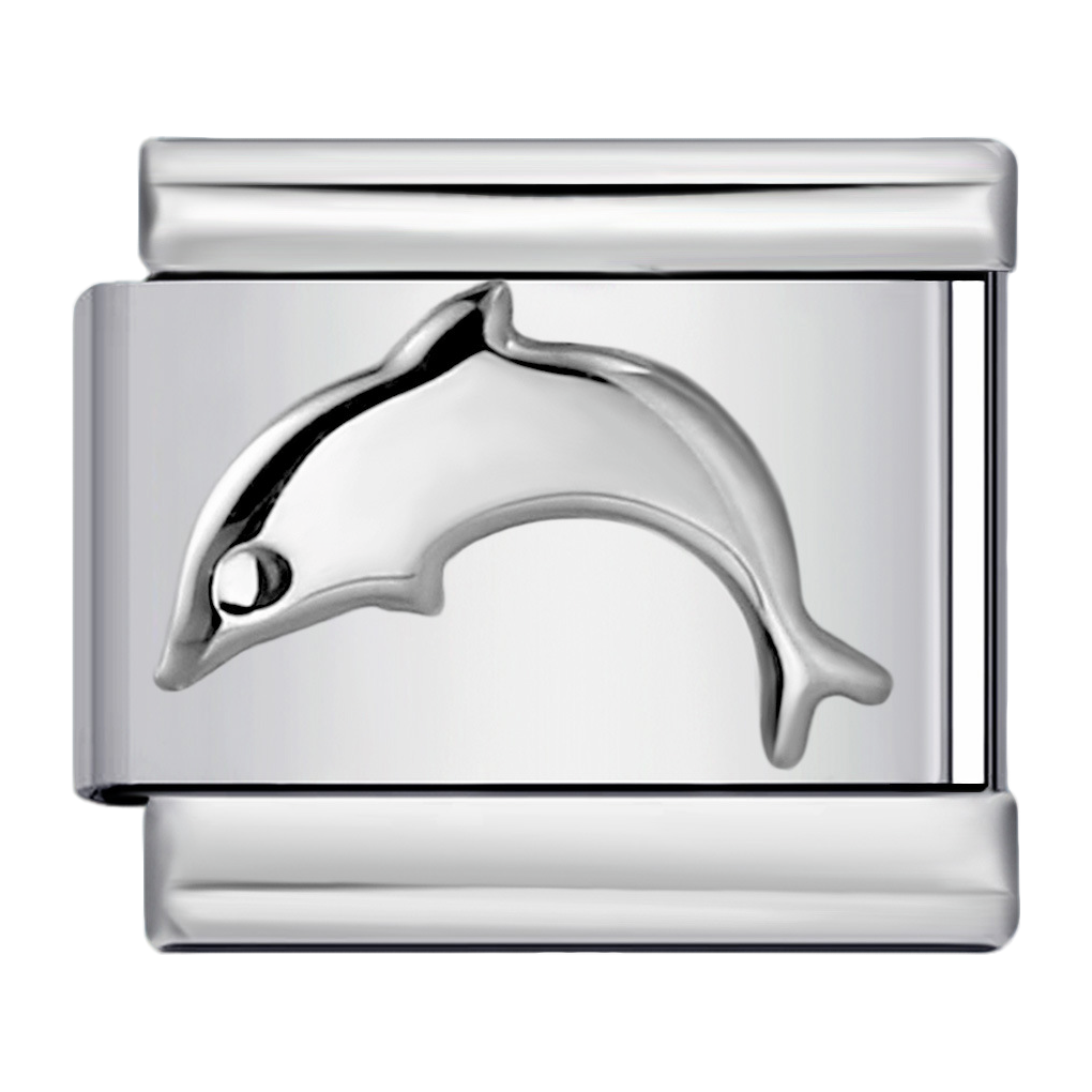 C0213_Dolphin Charm.png
