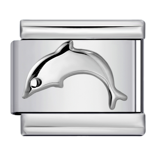 C0213_Dolphin Charm.png