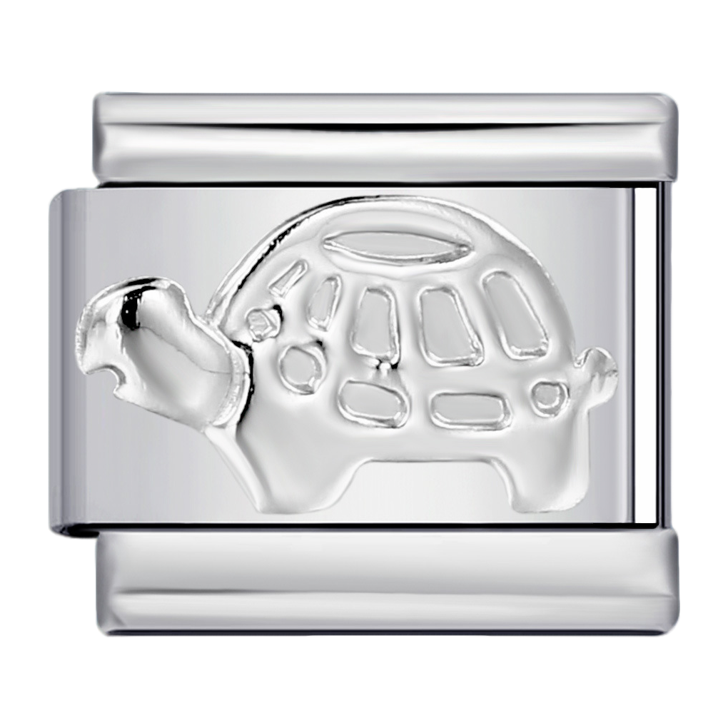 C0223_Turtle Charm.png