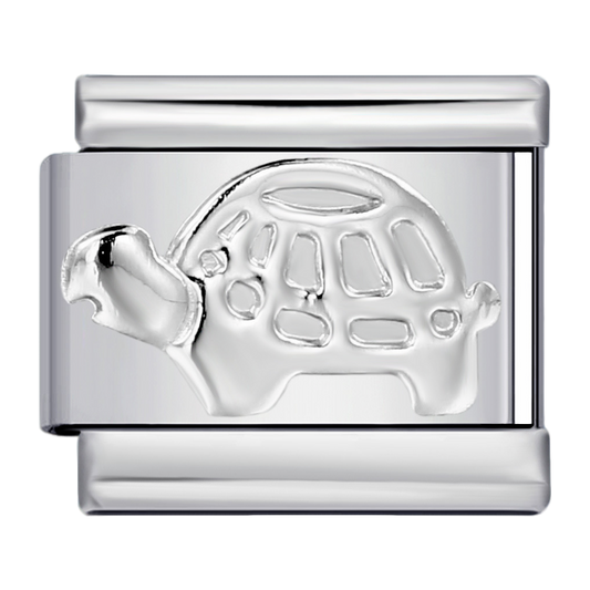 C0223_Turtle Charm.png