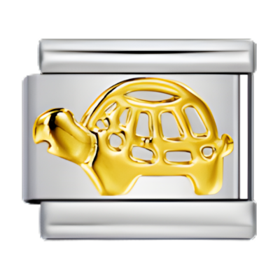 C0224_Turtle Charm .png