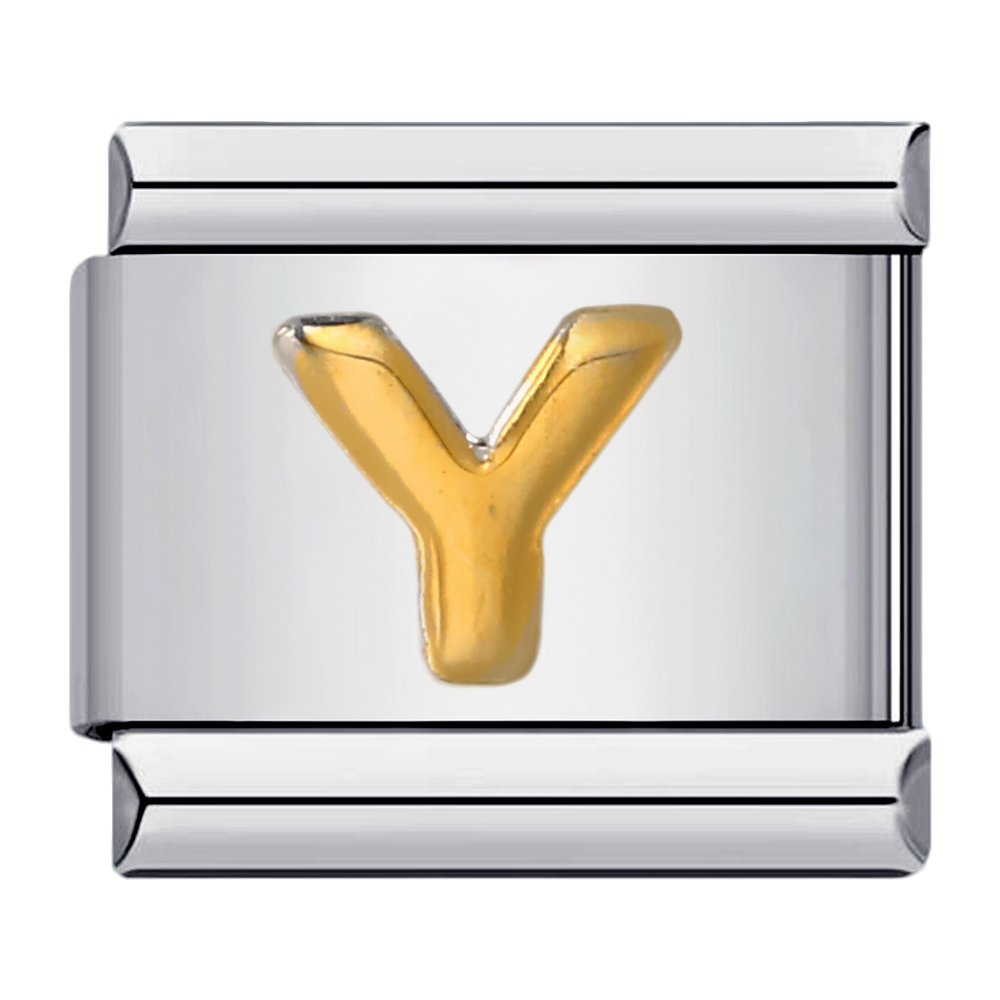 C0258_Letter Y.png