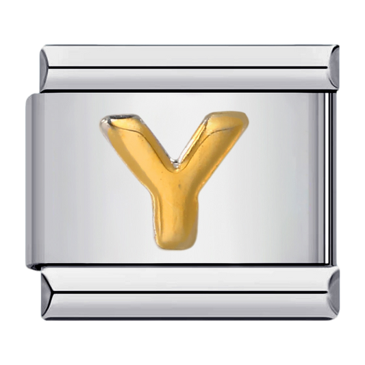 C0258_Letter Y.png