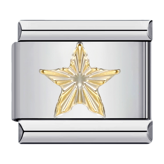 C0377_Gold Star.png
