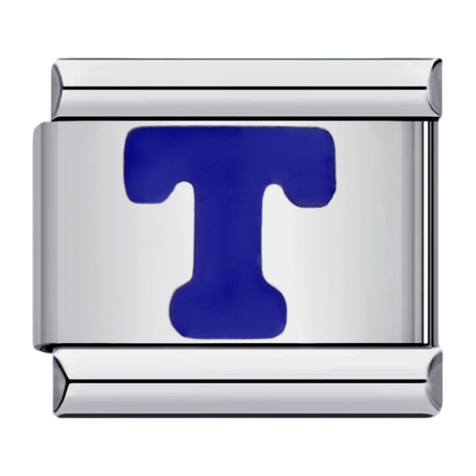 C0531_Blue Letter T.png