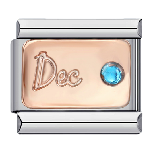 C0545_December in Rose Gold with CZ.png