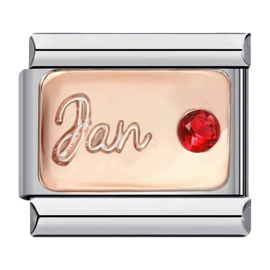 C0546_January in Rose Gold with CZ.png