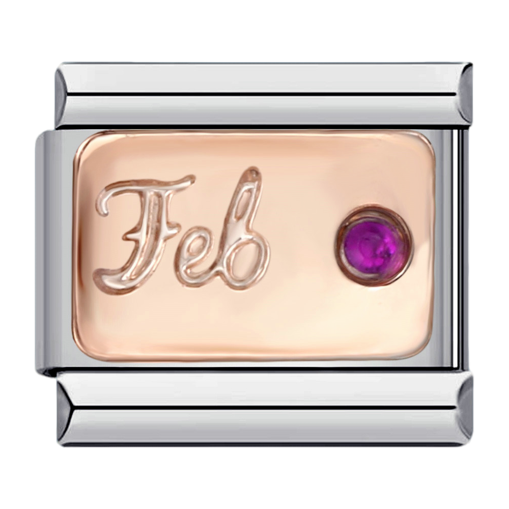 C0547_February in Rose Gold with CZ.png