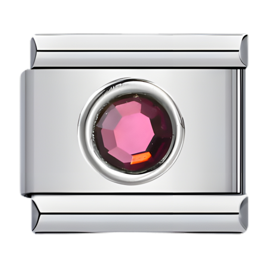 C0553_February Round Birthstone.png