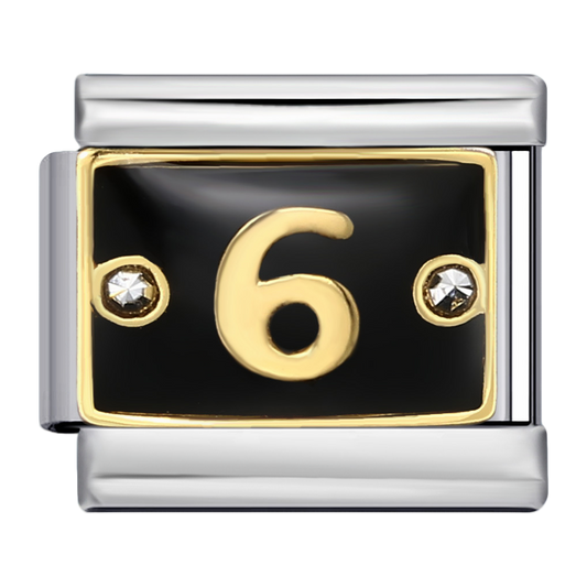C0598_Number 6 in Black with CZ.png