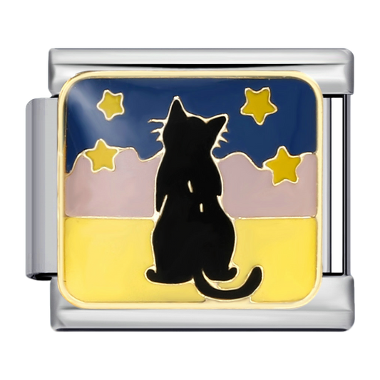 C0711_Cat under Stars with Enamel.png