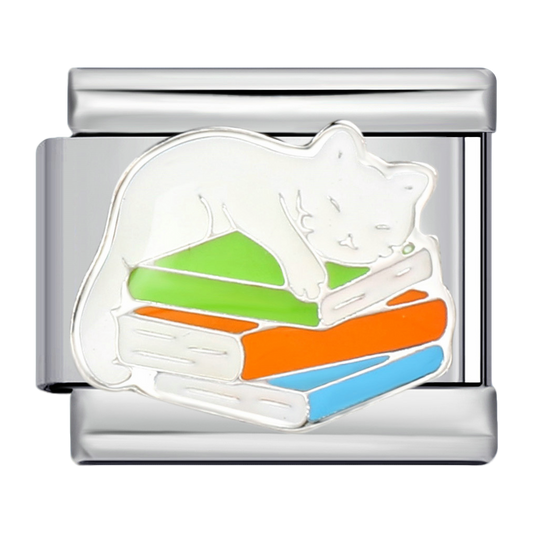 C0717_Sleeping Cat on Books.png