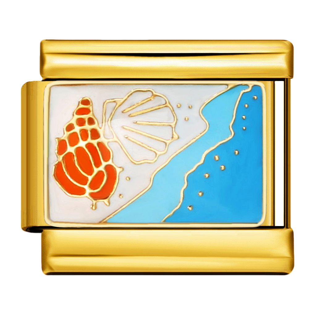 C0754_Seashells on Beach.png