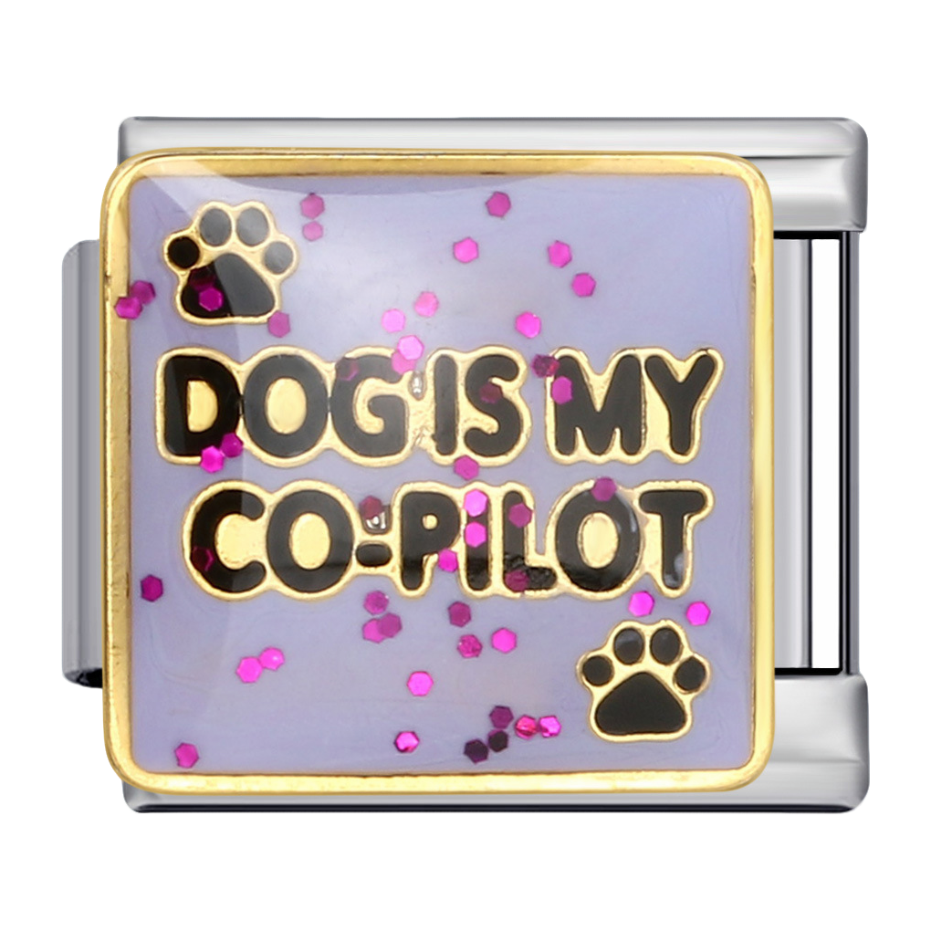 C0785_Dog is my Co - Pilot.png