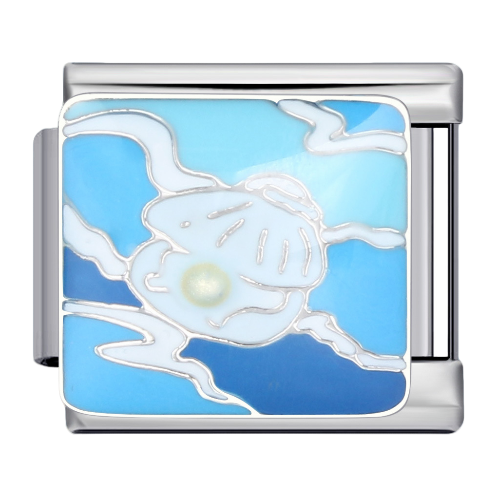 C0809_Turtle with Blue Enamel .png