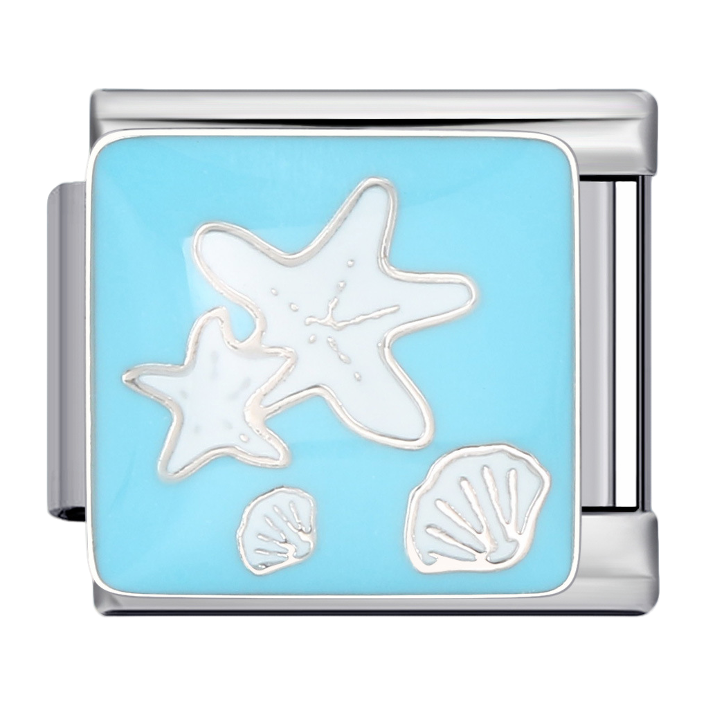C0812_Starfish and Shells on Blue Background.png