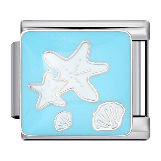 C0812_Starfish and Shells on Blue Background.png
