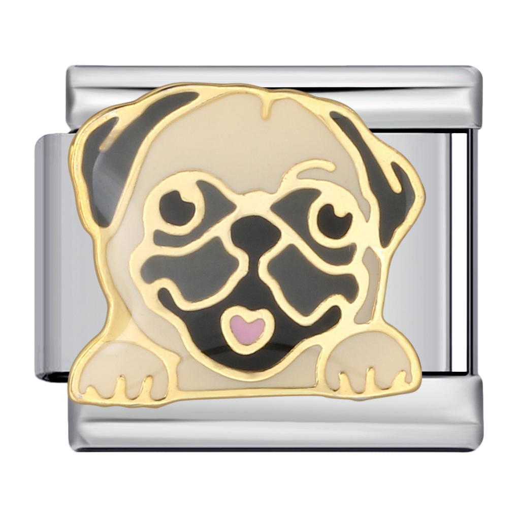 C0902_Pug Dog.png