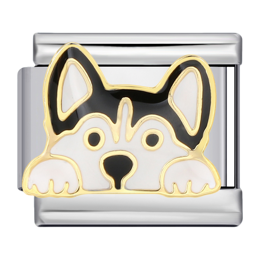 C0905_Husky Dog with Gold Trim.png