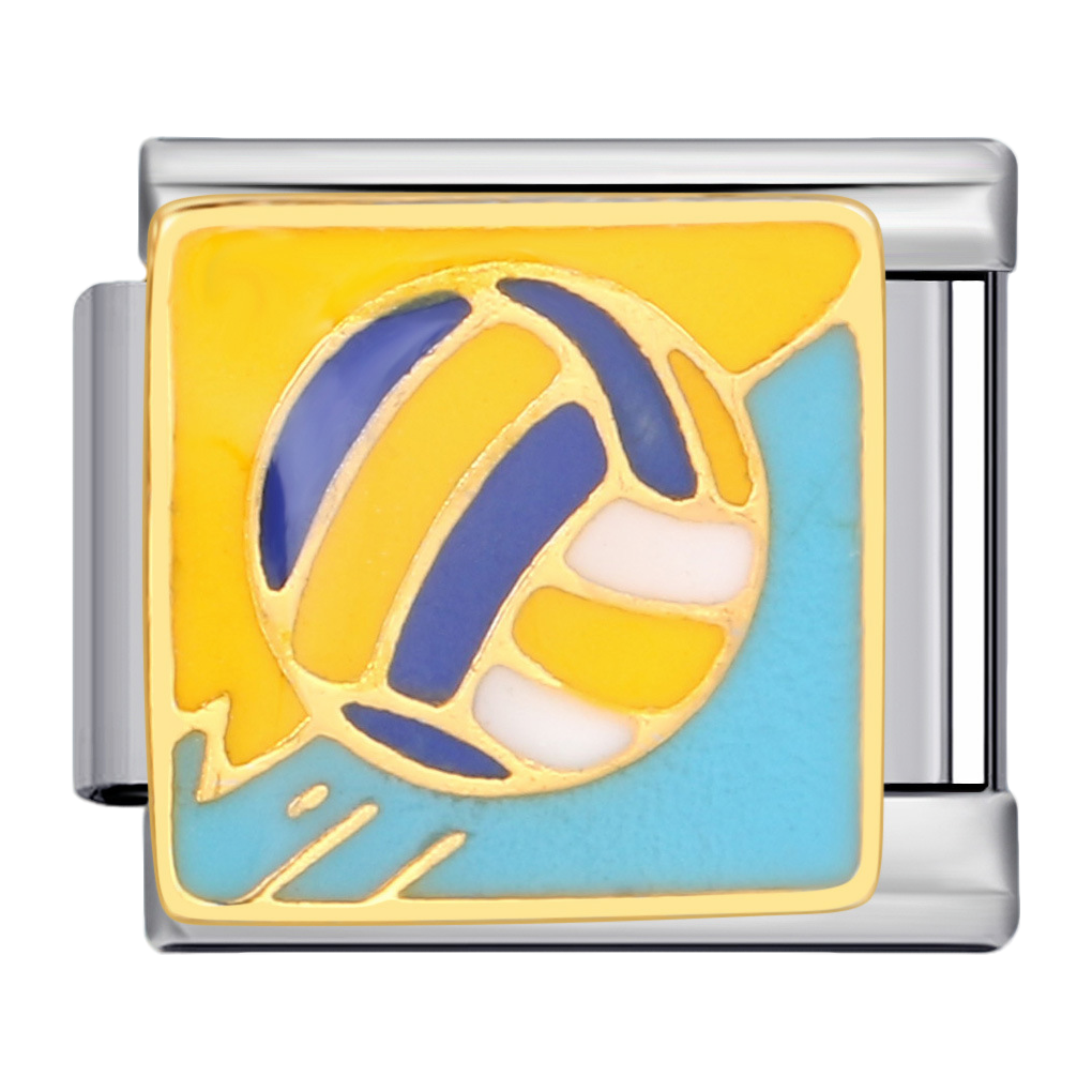C0995_Volleyball with Enamel.png